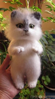 Вязаный кот - 2