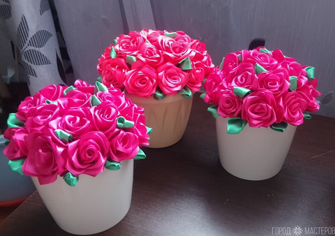 Цветы в кашпо - 5