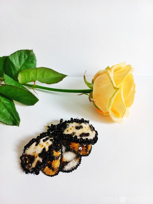 Броши мотыльки - 6