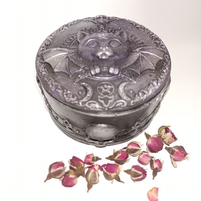 Шкатулка Кот Вампирчик - 2