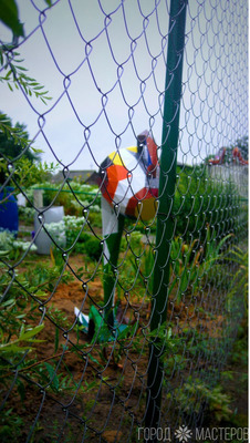 Полигональная фигура садовая "Чашка" - 2