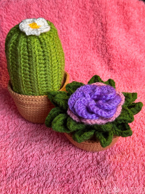 Вязаные кактус и яркий цветок - 3