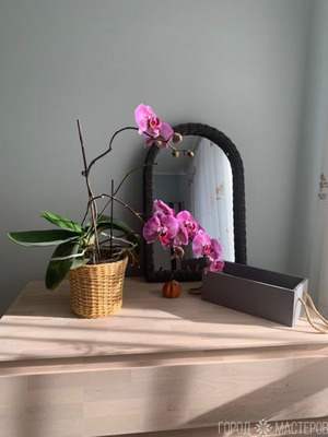 Кашпо из бумажной лозы