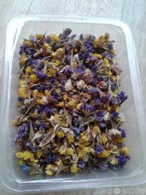 Сухоцветы кермек (статица) для творчества - 2
