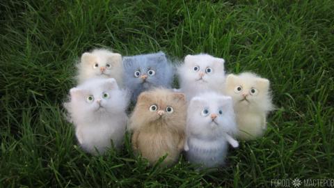 Забавные коты - 2