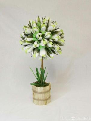 Топиарий - 2