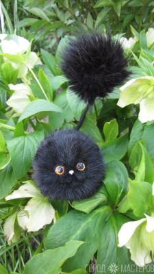 Белоруский тушкан, подвид мексиканского тушкана. - 3